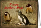 Happy Mother’s Day card, Penguins with chick and egg on the nest card