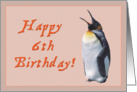 Happy 6th birthday to baby card , penguin’s chick card