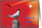 Thank you card, bird in sunrise card