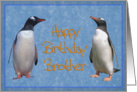 Happy birhday Brother card, funny two penguins card