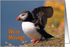 We are moving greeting card, puffin going to fly card