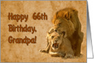 Happy 66th Birthday Grandpa greeting card,lions in love card