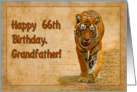 Happy 66th Birthday Grandpa greeting card,tiger card