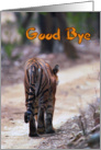 Good bye greeting card, Tiger card