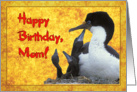 Happy birthday mom greeting card, bird with three chicks card
