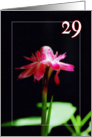 Happy 29th birthday greeting card, tropical orchid flower card