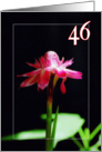 Happy 46th birthday greeting card, tropical orchid flower card