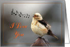 I love you greeting card,bird spring song card