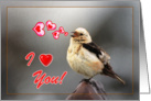 I love you greeting card,bird spring song card