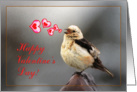 Happy Valentine’s Day greeting card,bird spring song card