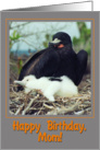 Happy birthday mom greeting card, Magnificent Frigatebird with chick card