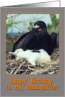 Happy birthday to my babysitter greeting card, Magnificent Frigatebird with chick card
