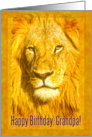 Happy Birthday Grandfather greeting card, Portrait male lion card