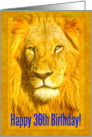 Happy 36th Birthday greeting card, Male lion portrait card