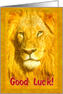 Good Luck greeting card, Male lion portrait card