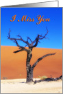 I miss you greeting card, Dead tree in sand desert card