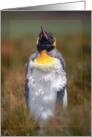 Chick penguin greeting card, card