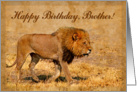 Happy Birthday,Brother greeting card,mail lion in hot savannah card