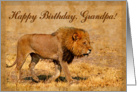 Happy Birthday,Grandpa greeting card,mail lion in hot savannah card