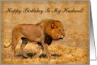Happy Birthday To My Husband greeting card,mail lion in hot savannah card