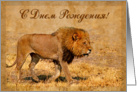 Happy Birthday russian language greeting card, lion in savannah card
