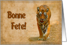 Happy Birthday,french language greeting card, tiger in savannah card