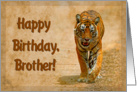 Happy Birthday, Brother greeting card, tiger in savannah card
