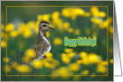 Happy birthday greeting card, bird in grass and yellow flowers card