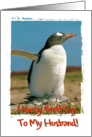 Happy Birthday to My Husband greeting card,penguins in love card