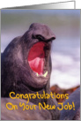 Congratulations On your New Job Dentist greeting card,sea elephant card