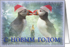 Happy New Year greeting card,two funny puffins card