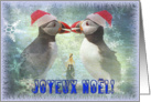 Happy Christmas greeting card,two funny puffins card