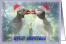 Merry Christmas greeting card,two funny puffins card