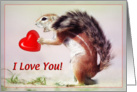 I love you greeting card,funny squirrel card