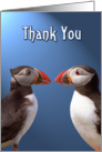 Thank you greeting card,two funny puffins card