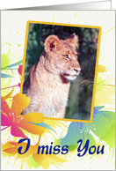 I miss you, lion cub card