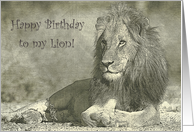 Happy birthday to my lio, drawing lion portrait card