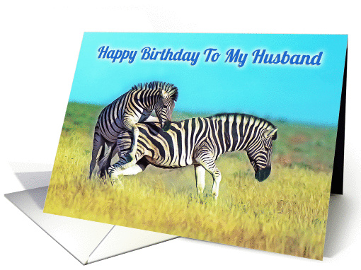 Happy birthday to my husband, two funny playing zebras card (1252318)