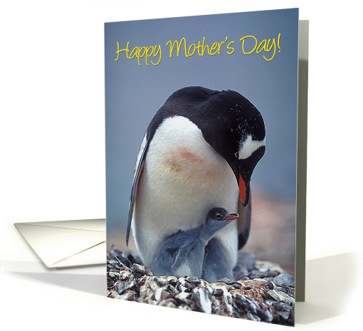 Happy Mother's Day! card (1252352)