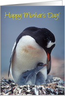 Happy Mother’s Day! card
