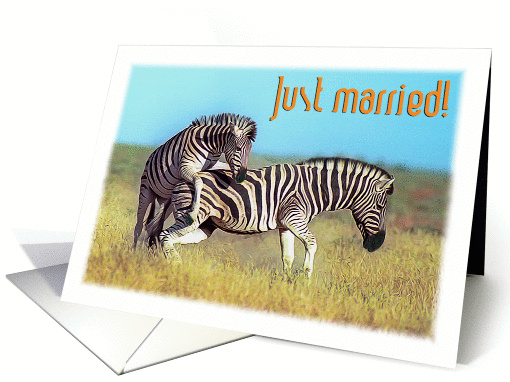 Just married, playing zebras in africa savannah card (1282328)