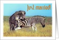 Just married,...