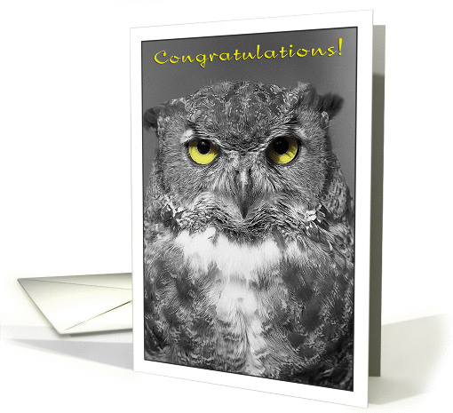 Congratulations, owl with yellow eyes card (1358084)