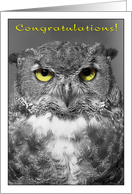 Congratulations, owl with yellow eyes card