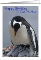Happy Birthday to our mother, penguin with two adorable chicks card