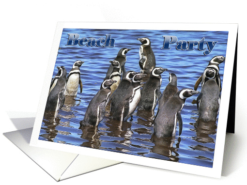 Beach Party, penguins in water card (1359812)