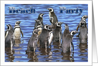 Beach Party, penguins in water card
