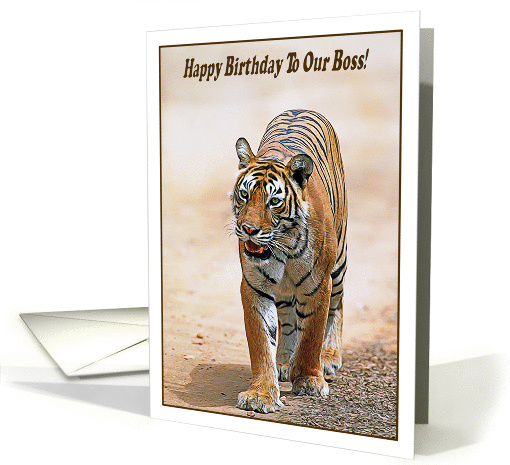Happy Birthday To Our Boss, Bengal tiger card (1360906)