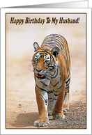 Happy Birthday To My Husband, Bengal tiger card