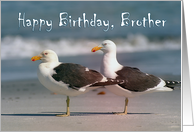 Happy Birthday, Brother, two gulls card